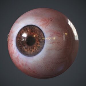 Realistic Eye 3D Asset