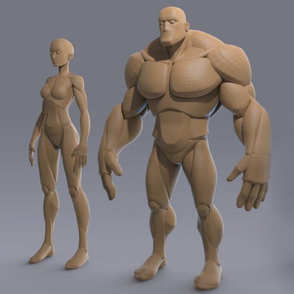 Stylized Anatomy Base Meshes